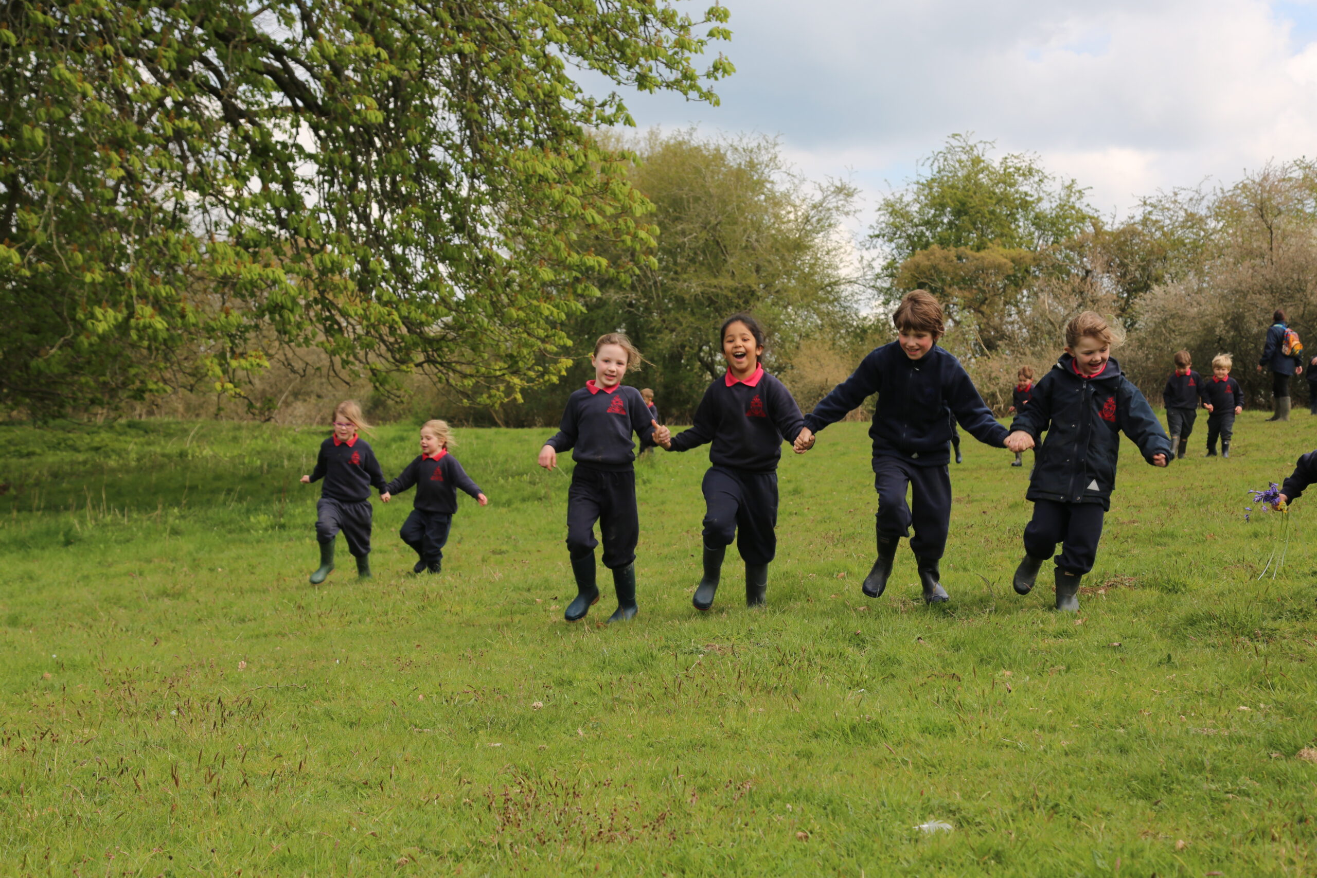 Image06 (2)